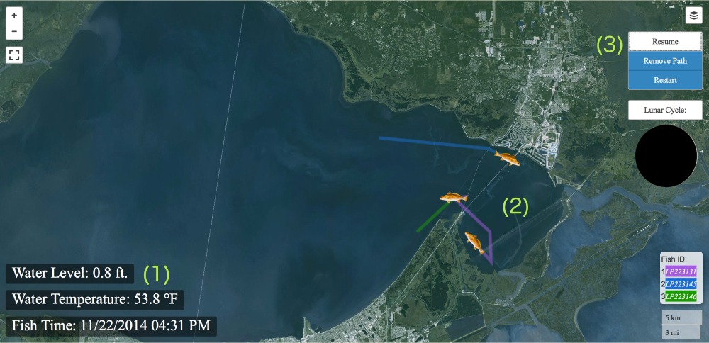 Telemetry visualization showing: 1) environmental data for the observed fish time, 2) the selected fish tracks that are currently being observed, and 3) visual controls for viewing the selected tracks.